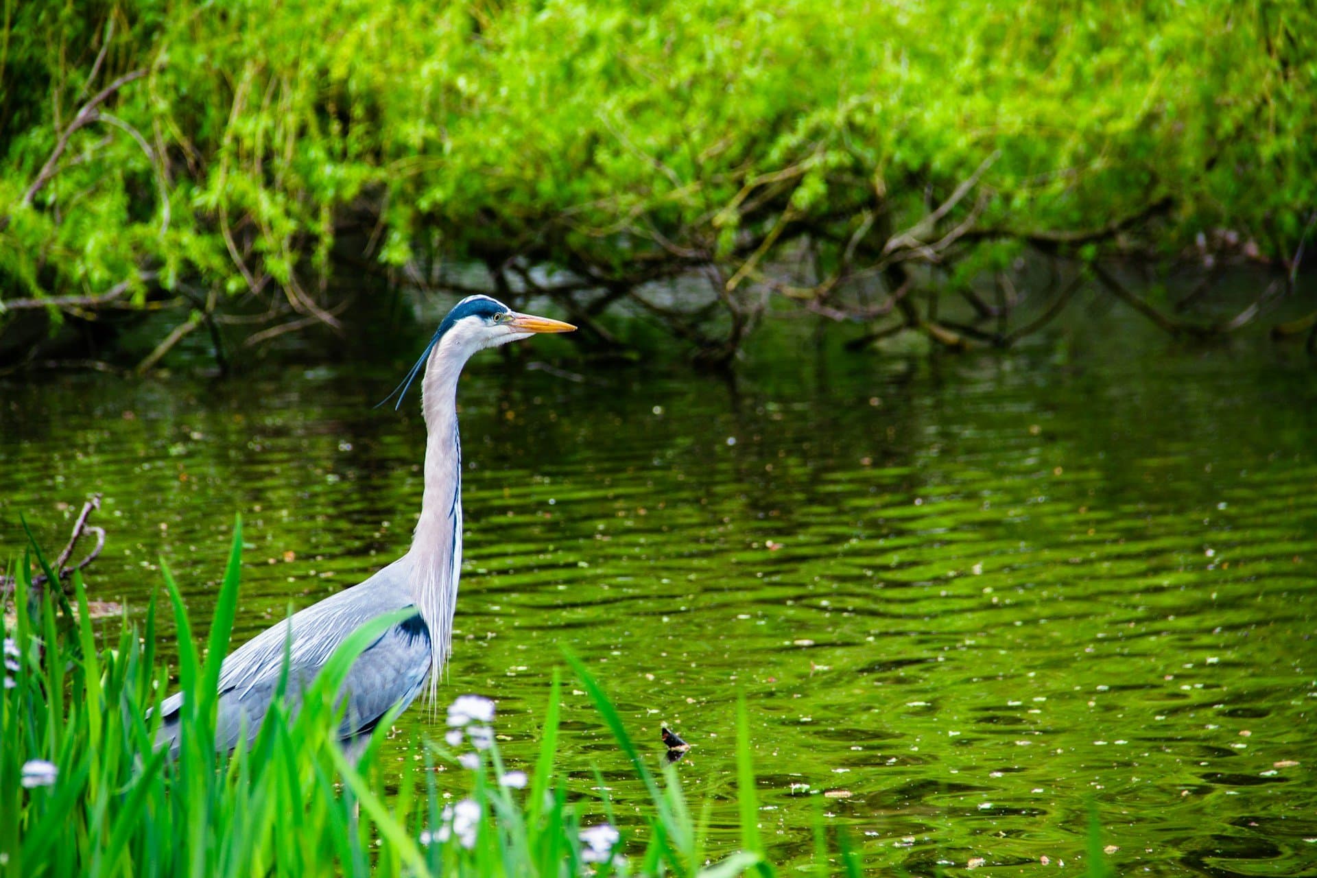 Kleine Hochwaldrunde: Kanu-Tour im Spreewald