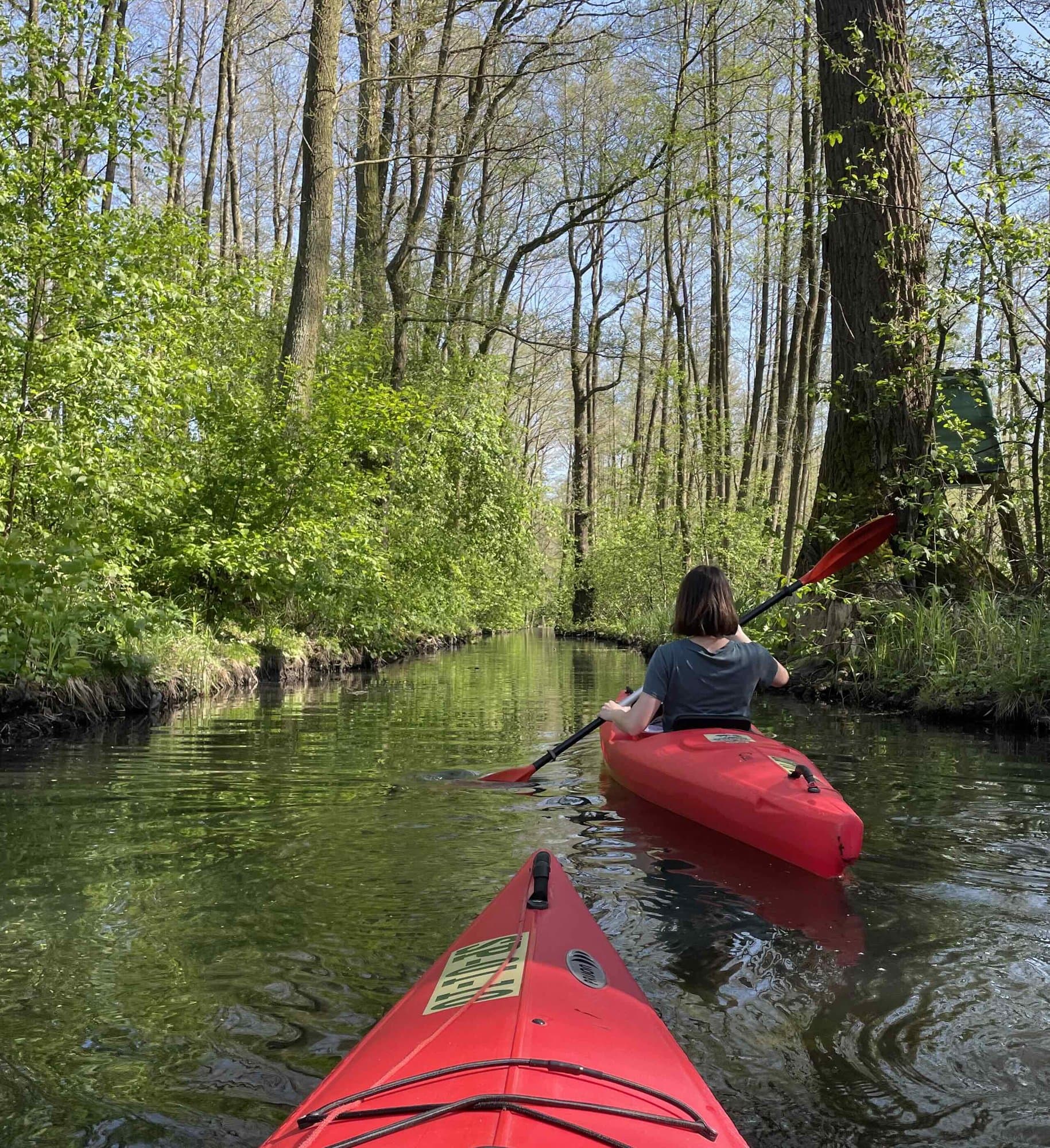 Naturpur im Hochwald: Kanu-Tour im Spreewald
